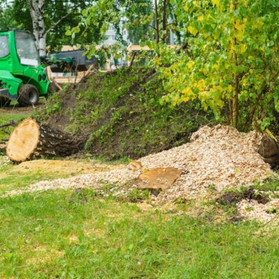 Land Clearing, Wellington Demolition Solution Pros